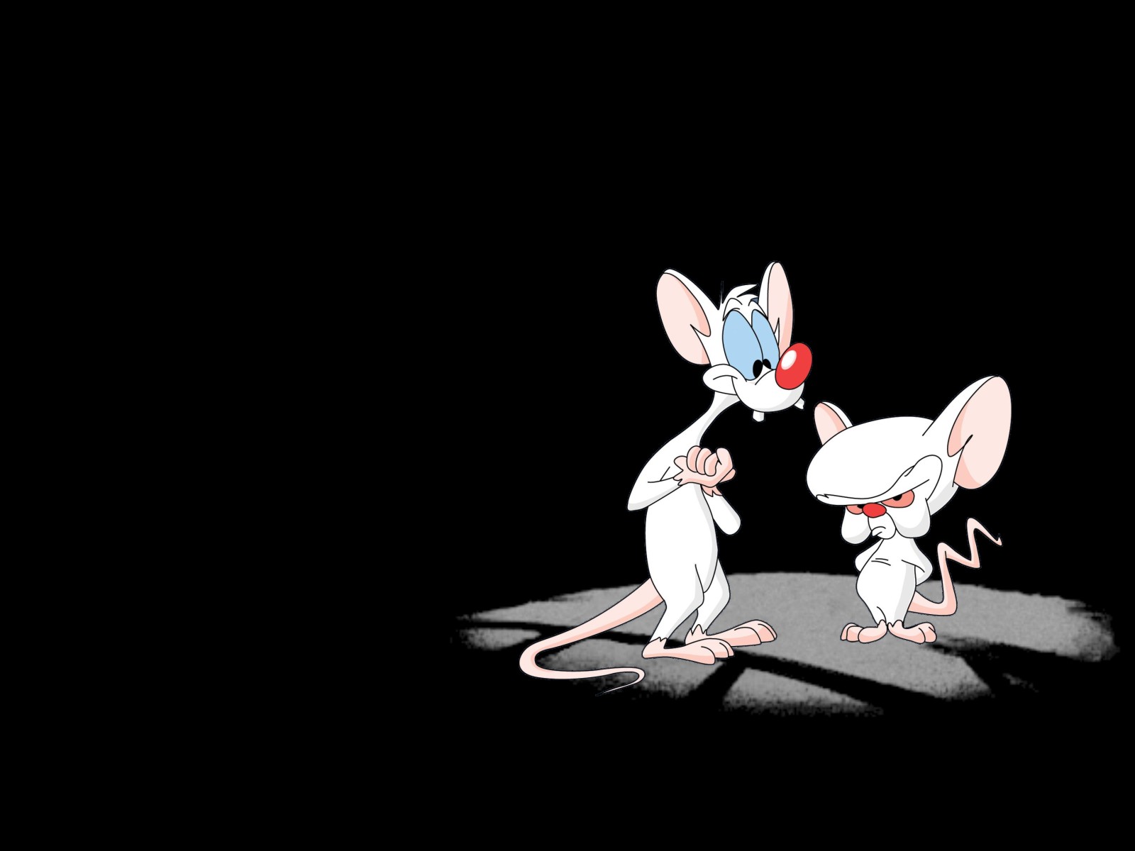 Pinky & the Brain