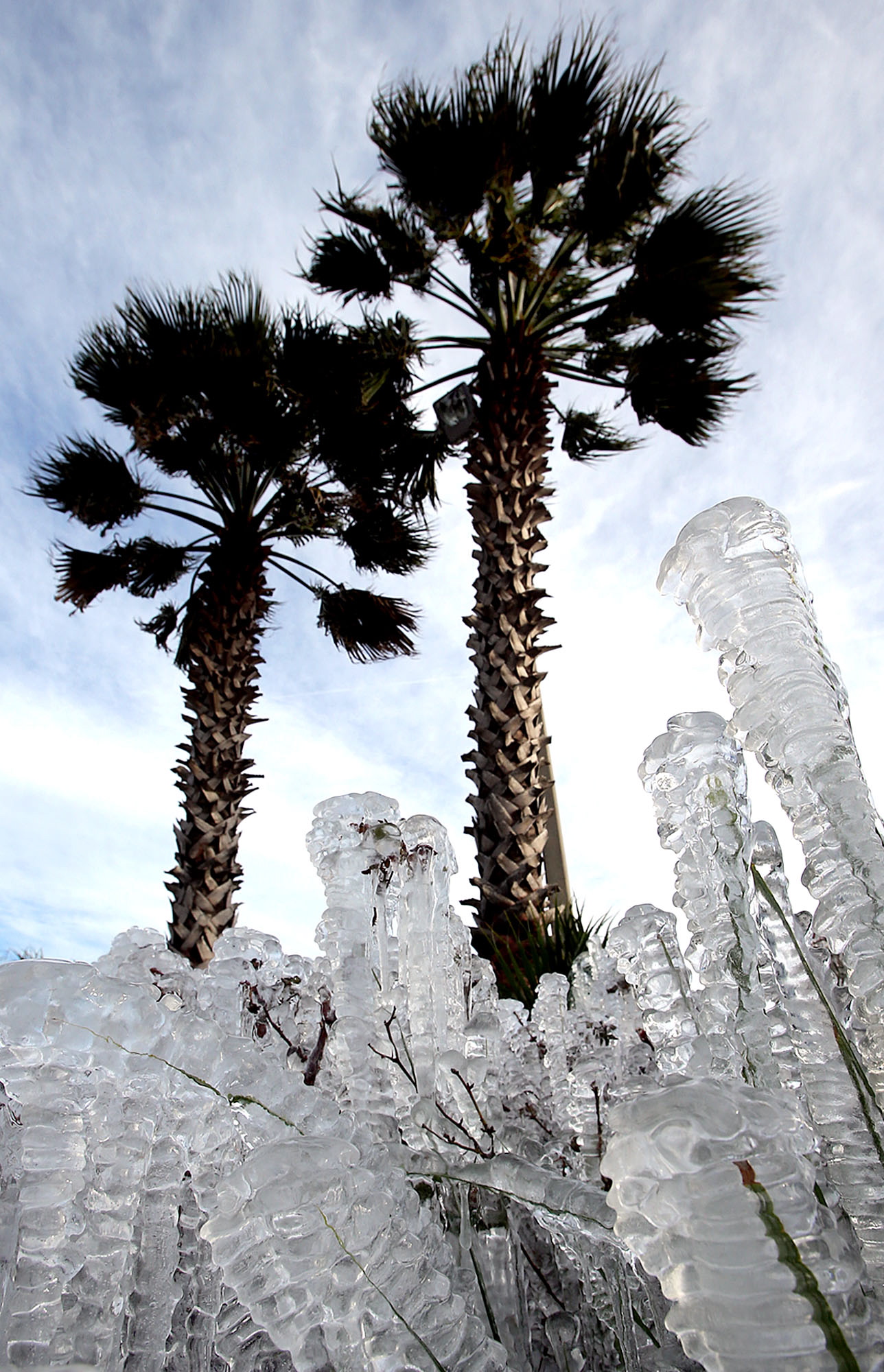 APTOPIX Deep Freeze Florida