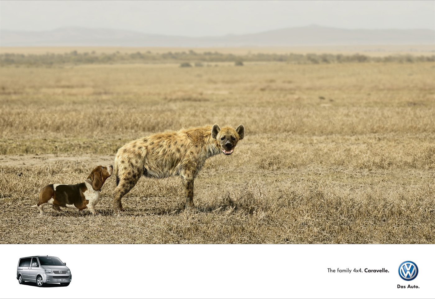 Funny animals ads -  volkswagen (dog hyena)