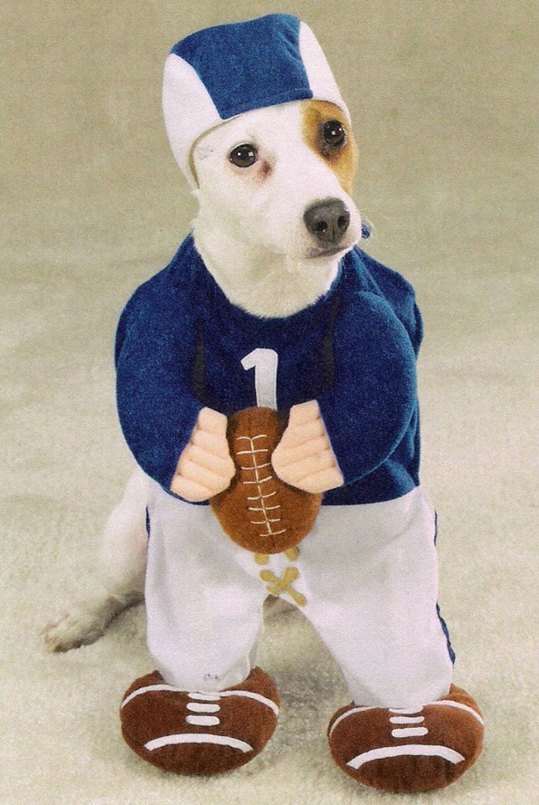 dog-clothes-quarterback