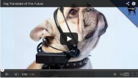 If your dog could talk, what would you ask?  With this device, you might get the chance!