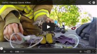 Amazing Fireman brings kitten back from the brink of death.
