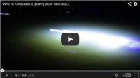 Alien Invasion? Mysterious Glowing Creature Spotted in Bristol Harbor