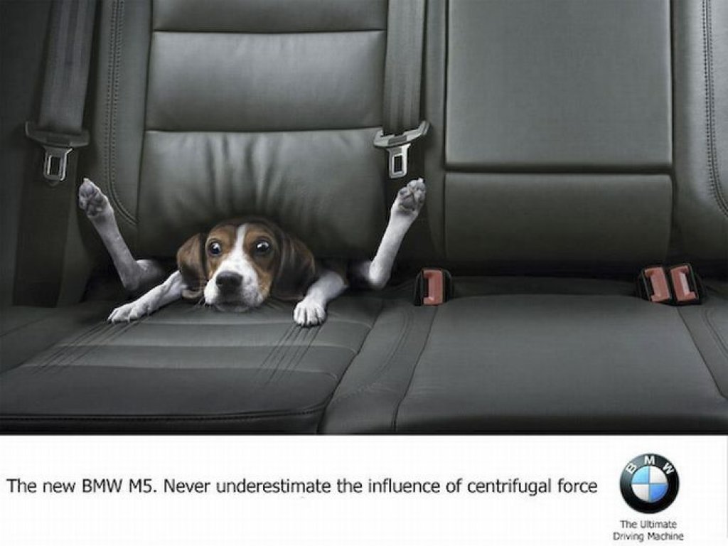 the_best_ads_with_dogs_15