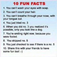 Ten Fun Facts