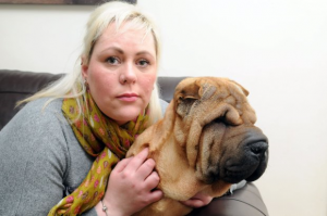 Shar Pei Honey With Sarah