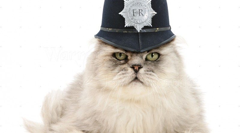 Police Cat