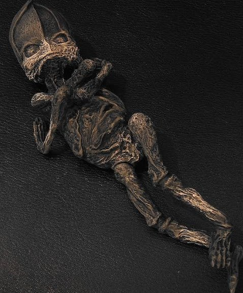 Mummified Alien