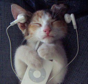cats-listening-through-ipod