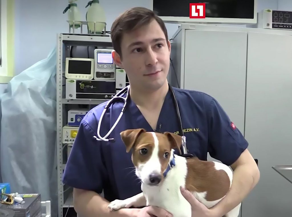 Doctor Andrey Mezin with the dog