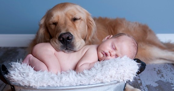 Dog and Baby Nap Together