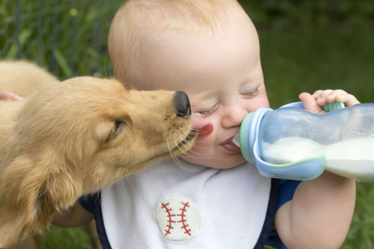 Dog teaches baby to share