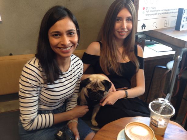 Organiser Anushka Fernando with her pug Organiser Anushka Fernando with her pug
