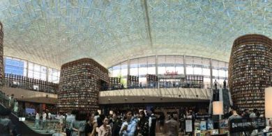 Starfield Library